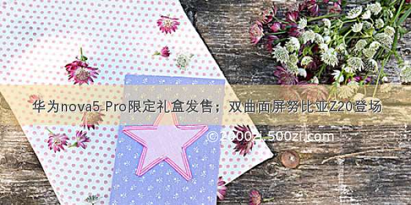 华为nova5 Pro限定礼盒发售；双曲面屏努比亚Z20登场