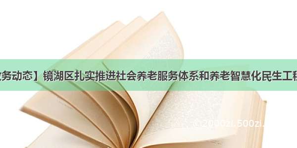 【政务动态】镜湖区扎实推进社会养老服务体系和养老智慧化民生工程建设