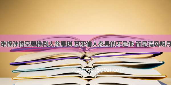 难怪孙悟空要推倒人参果树 其实偷人参果的不是他 而是清风明月