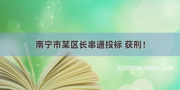 南宁市某区长串通投标 获刑！