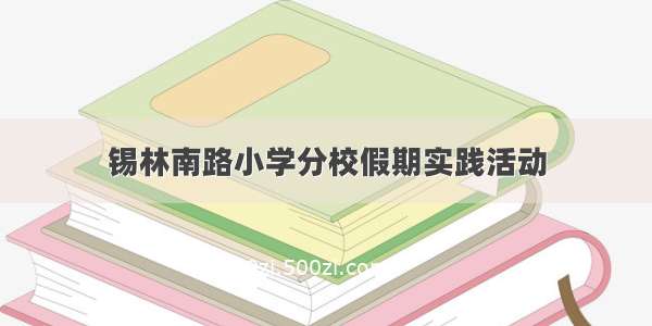 锡林南路小学分校假期实践活动