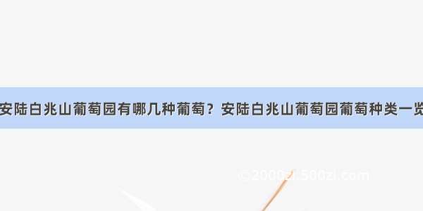 安陆白兆山葡萄园有哪几种葡萄？安陆白兆山葡萄园葡萄种类一览