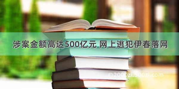 涉案金额高达500亿元 网上逃犯伊春落网