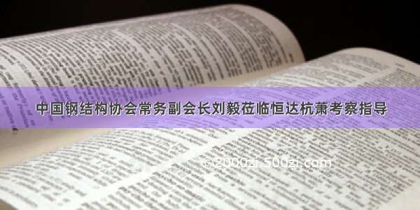 中国钢结构协会常务副会长刘毅莅临恒达杭萧考察指导