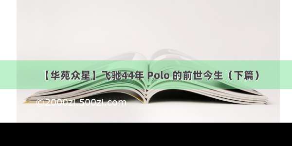 【华苑众星】飞驰44年 Polo 的前世今生（下篇）