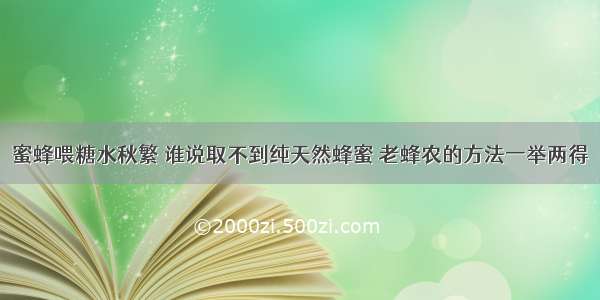 蜜蜂喂糖水秋繁 谁说取不到纯天然蜂蜜 老蜂农的方法一举两得