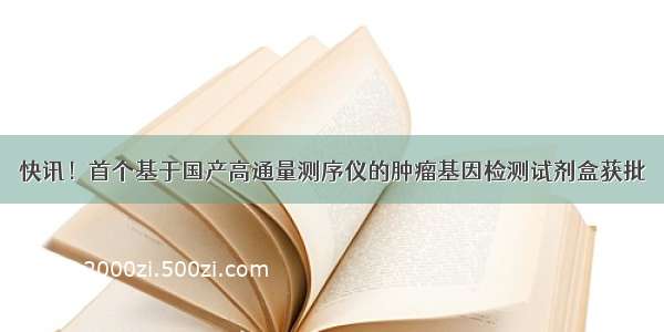 快讯！首个基于国产高通量测序仪的肿瘤基因检测试剂盒获批