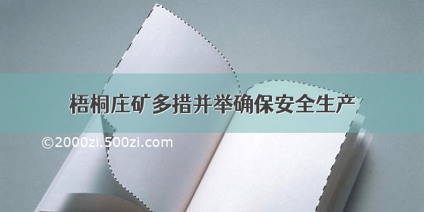 梧桐庄矿多措并举确保安全生产