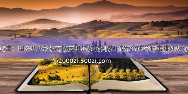 讲武堂：国产8.6毫米高精度狙击步枪列装 陆军合成营狙击排如虎添翼