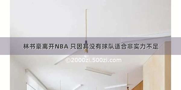 林书豪离开NBA 只因其没有球队适合非实力不足