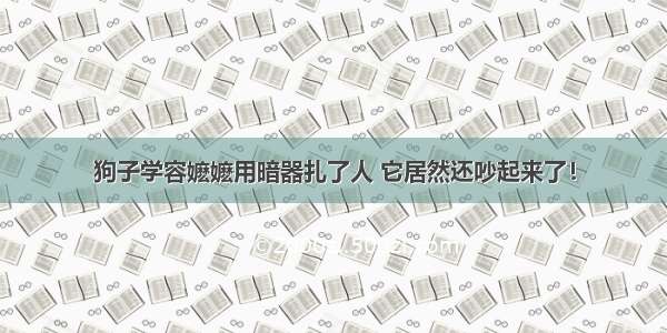 狗子学容嬷嬷用暗器扎了人 它居然还吵起来了！