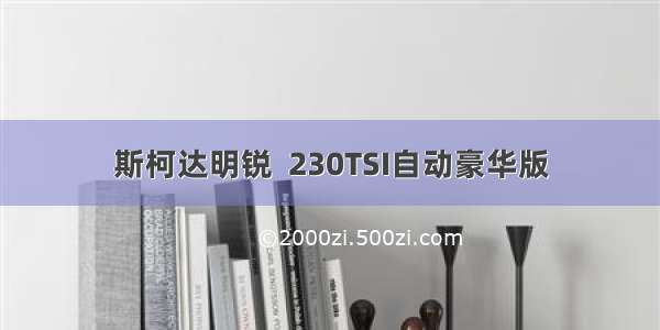 斯柯达明锐  230TSI自动豪华版