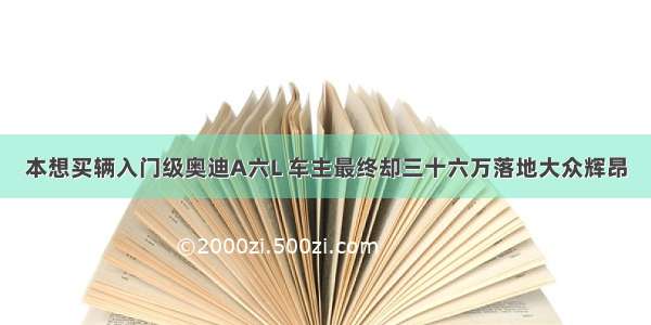 本想买辆入门级奥迪A六L 车主最终却三十六万落地大众辉昂