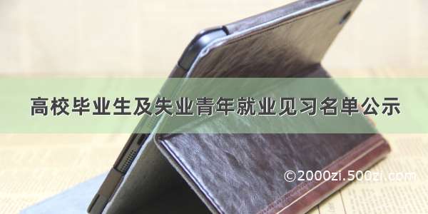 高校毕业生及失业青年就业见习名单公示