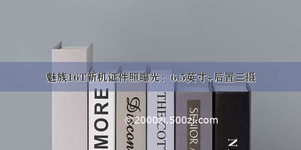 魅族16T新机证件照曝光：6.5英寸+后置三摄