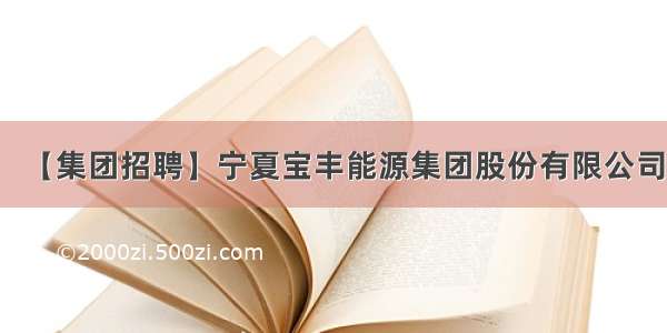 【集团招聘】宁夏宝丰能源集团股份有限公司