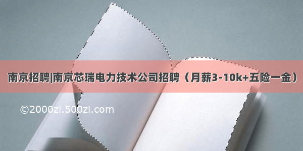 南京招聘|南京芯瑞电力技术公司招聘（月薪3-10k+五险一金）