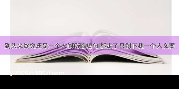 到头来终究还是一个人的伤感短句 都走了只剩下我一个人文案