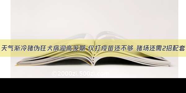 天气渐冷猪伪狂犬病迎高发期 仅打疫苗还不够 猪场还需2招配套