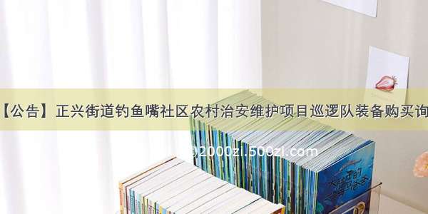 【公告】正兴街道钓鱼嘴社区农村治安维护项目巡逻队装备购买询函