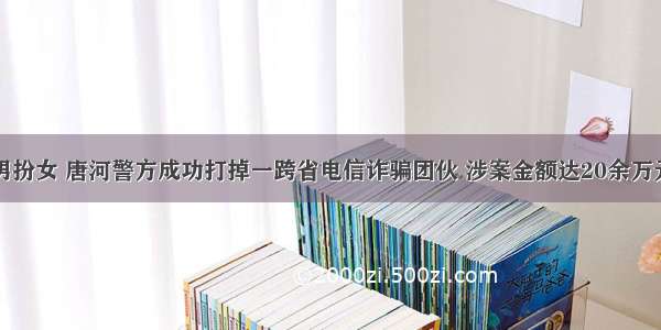 男扮女 唐河警方成功打掉一跨省电信诈骗团伙 涉案金额达20余万元