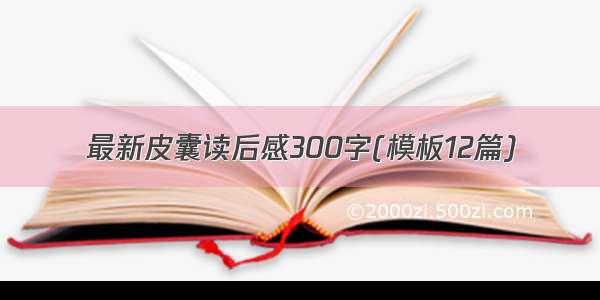 最新皮囊读后感300字(模板12篇)