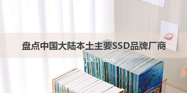 盘点中国大陆本土主要SSD品牌厂商