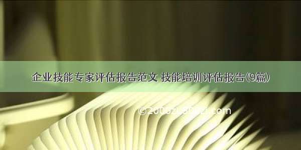 企业技能专家评估报告范文 技能培训评估报告(9篇)