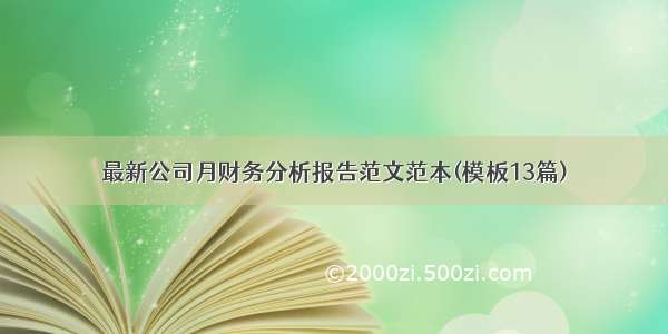 最新公司月财务分析报告范文范本(模板13篇)