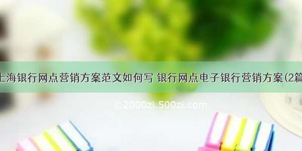 上海银行网点营销方案范文如何写 银行网点电子银行营销方案(2篇)