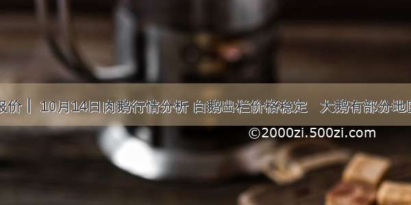 蓝仔报价┃ 10月14日肉鹅行情分析 白鹅出栏价格稳定   大鹅有部分地区下跌