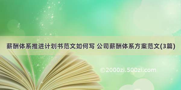 薪酬体系推进计划书范文如何写 公司薪酬体系方案范文(3篇)