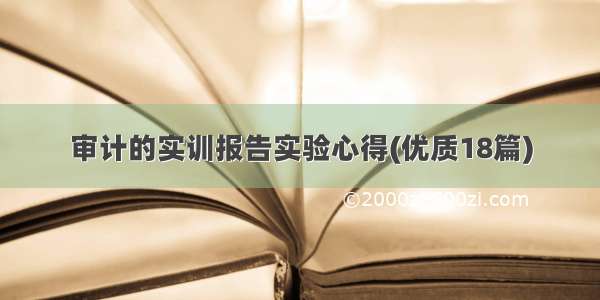 审计的实训报告实验心得(优质18篇)