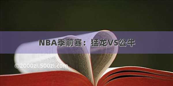 NBA季前赛：猛龙VS公牛