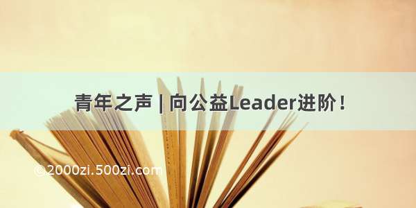 青年之声 | 向公益Leader进阶！