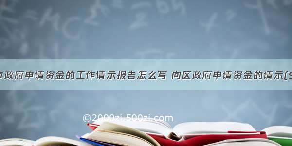 向市政府申请资金的工作请示报告怎么写 向区政府申请资金的请示(9篇)