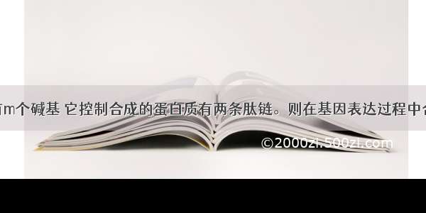 某基因含有m个碱基 它控制合成的蛋白质有两条肽链。则在基因表达过程中合成的mRN