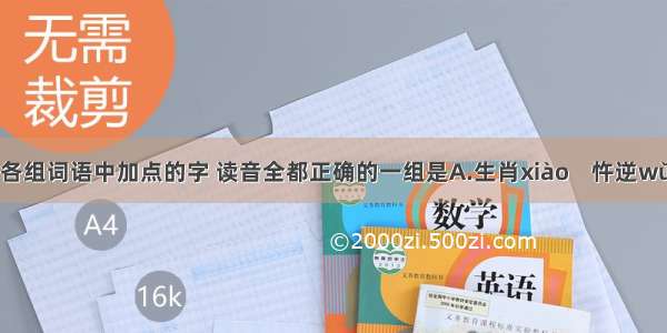 下列各组词语中加点的字 读音全都正确的一组是A.生肖xiào    忤逆wǔ    怪