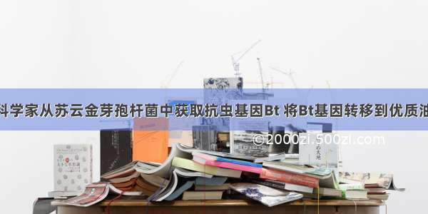 单选题科学家从苏云金芽孢杆菌中获取抗虫基因Bt 将Bt基因转移到优质油菜中 培