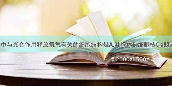 单选题叶片中与光合作用释放氧气有关的细胞结构是A.叶绿体B.细胞核C.线粒体D.细胞质