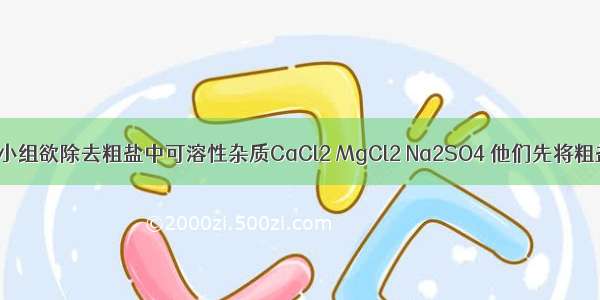 某化学兴趣小组欲除去粗盐中可溶性杂质CaCl2 MgCl2 Na2SO4 他们先将粗盐溶于水 然