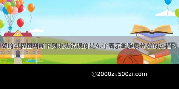 请根据细胞分裂的过程图判断下列说法错误的是A.①表示细胞质分裂的过程B.③的两个细胞