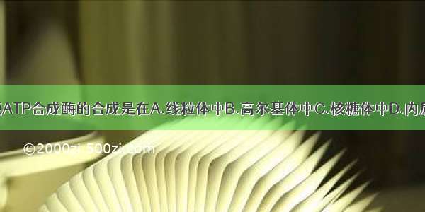 单选题ATP合成酶的合成是在A.线粒体中B.高尔基体中C.核糖体中D.内质网中