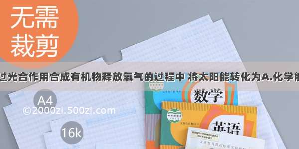 绿色植物通过光合作用合成有机物释放氧气的过程中 将太阳能转化为A.化学能B.内能C.动