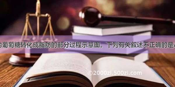 下图是人体内葡萄糖转化成脂肪的部分过程示意图。下列有关叙述不正确的是A.长期偏爱高