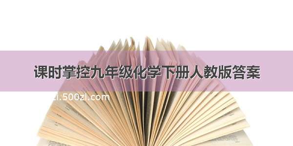 课时掌控九年级化学下册人教版答案