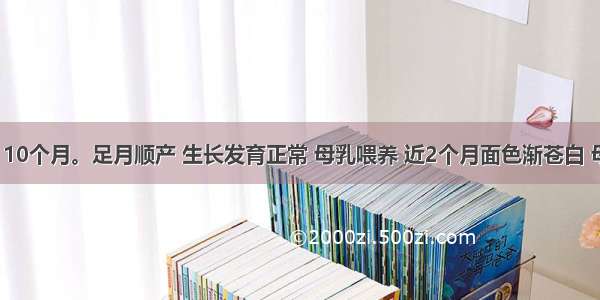 患儿 女 10个月。足月顺产 生长发育正常 母乳喂养 近2个月面色渐苍白 母亲体健