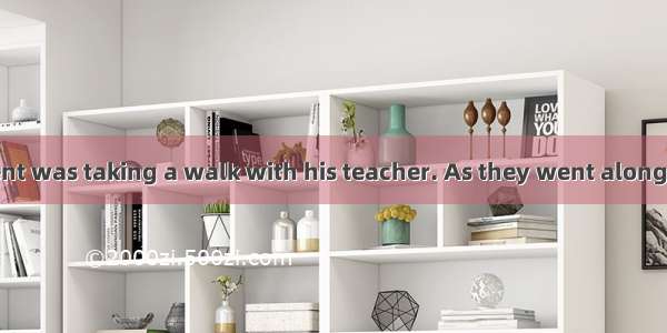 One day a student was taking a walk with his teacher. As they went along  they saw a pair