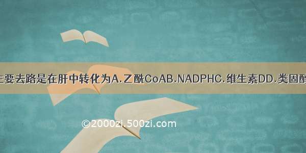 胆固醇体内代谢的主要去路是在肝中转化为A.乙酰CoAB.NADPHC.维生素DD.类固醇E.胆汁酸ABCDE