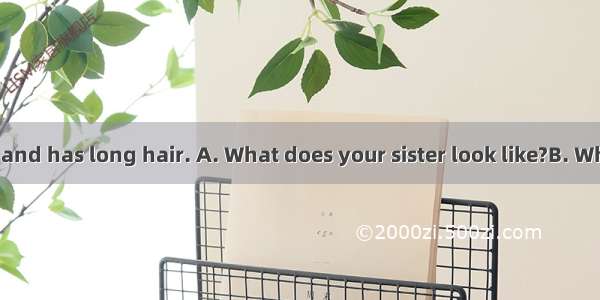 - ? -She is thin and has long hair. A. What does your sister look like?B. What does your s